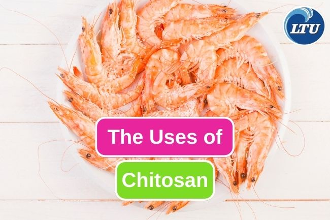 7 Things That Chitosan Does For Human